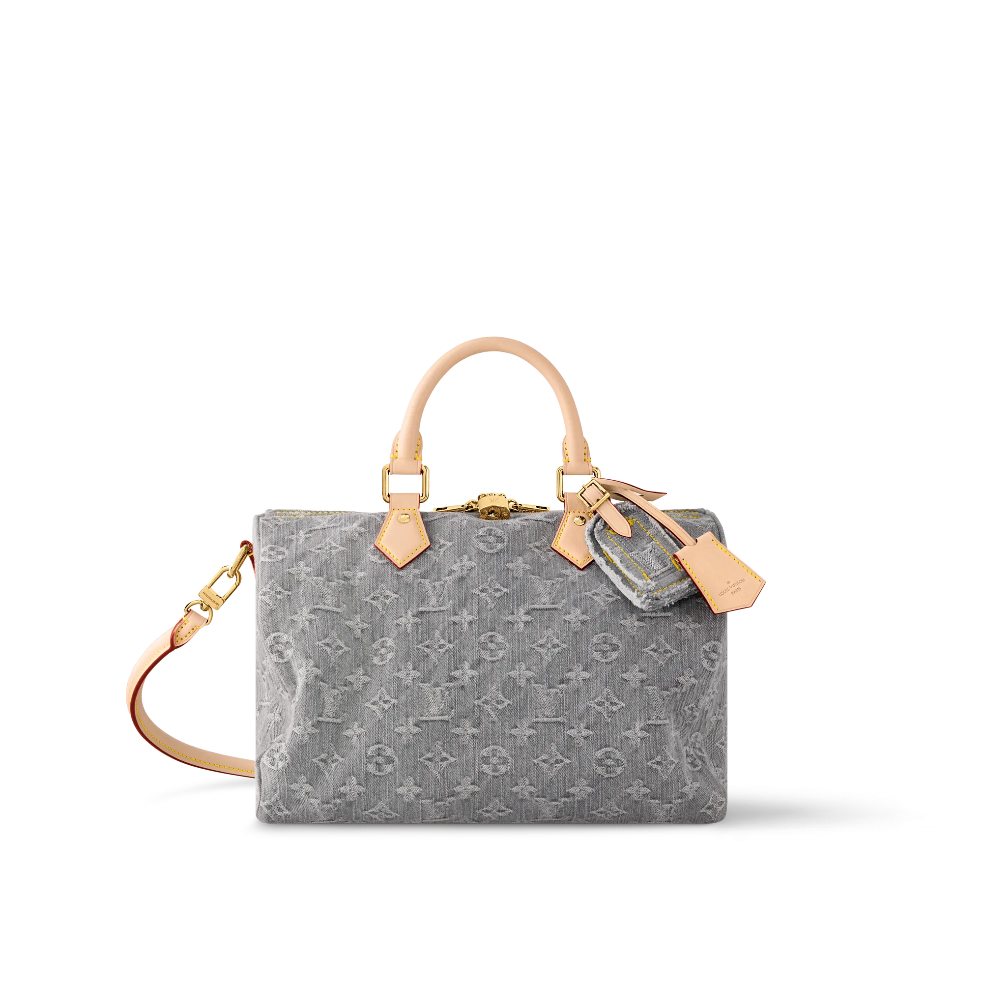 Louis Vuitton Speedy Soft 30