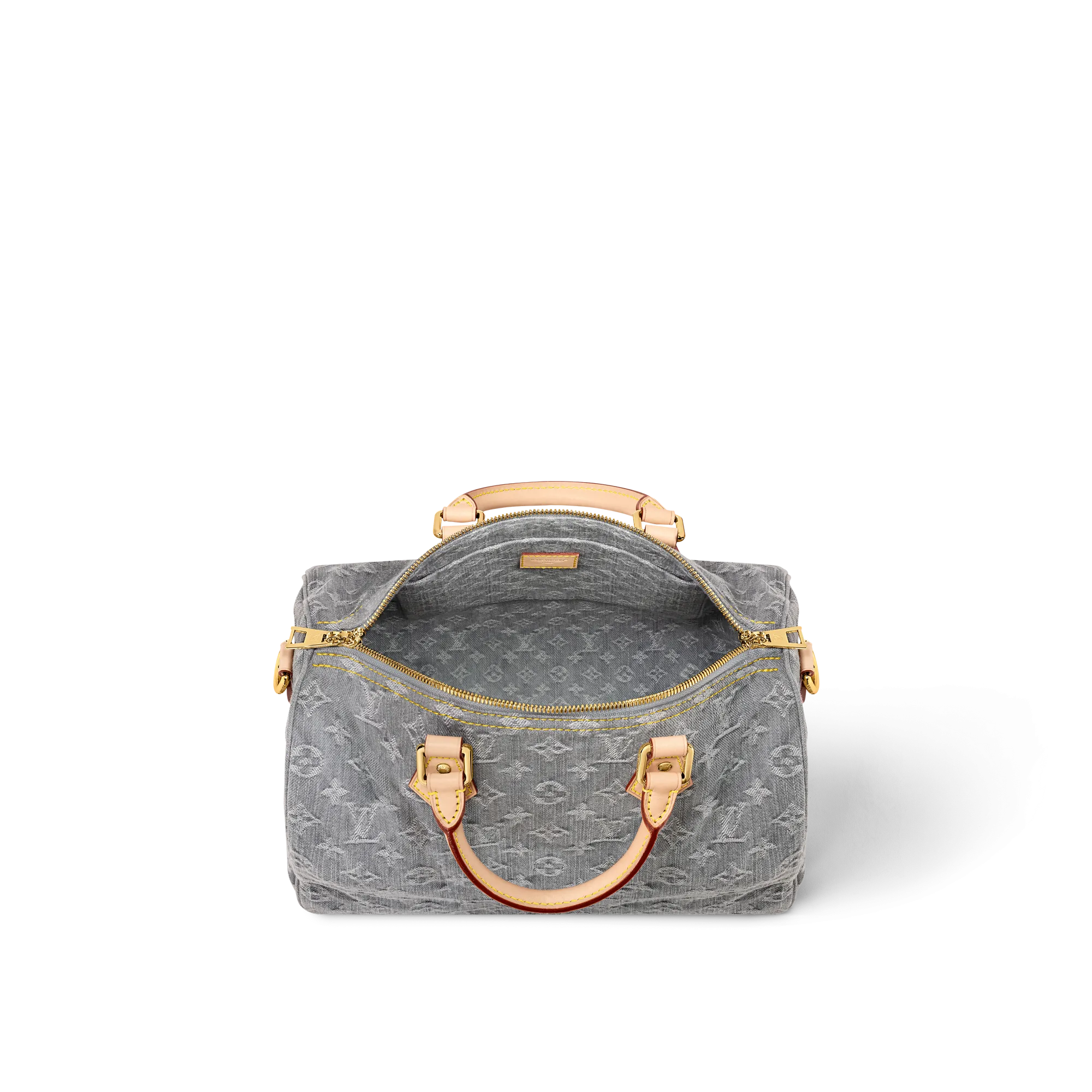 Louis Vuitton Speedy Soft 30
