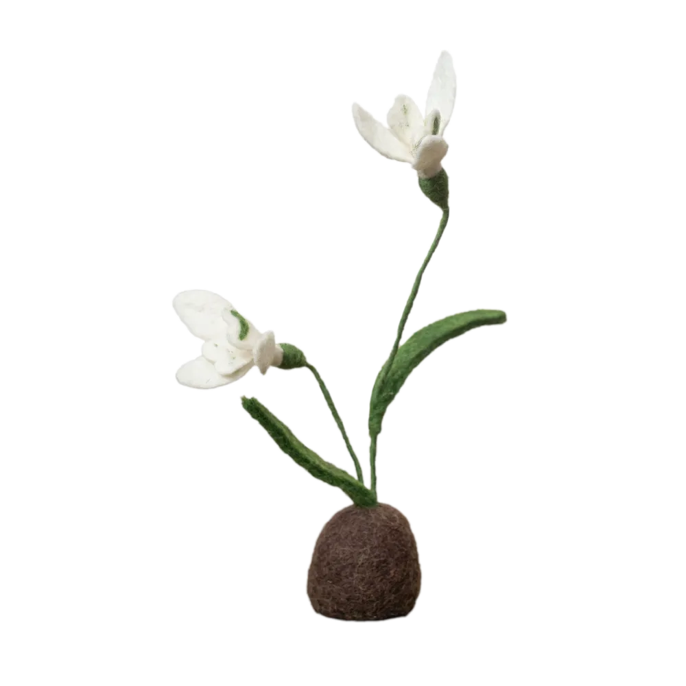 Standing Snowdrop