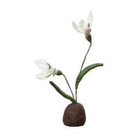 Standing Snowdrop